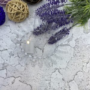 Ромашка прозрачная